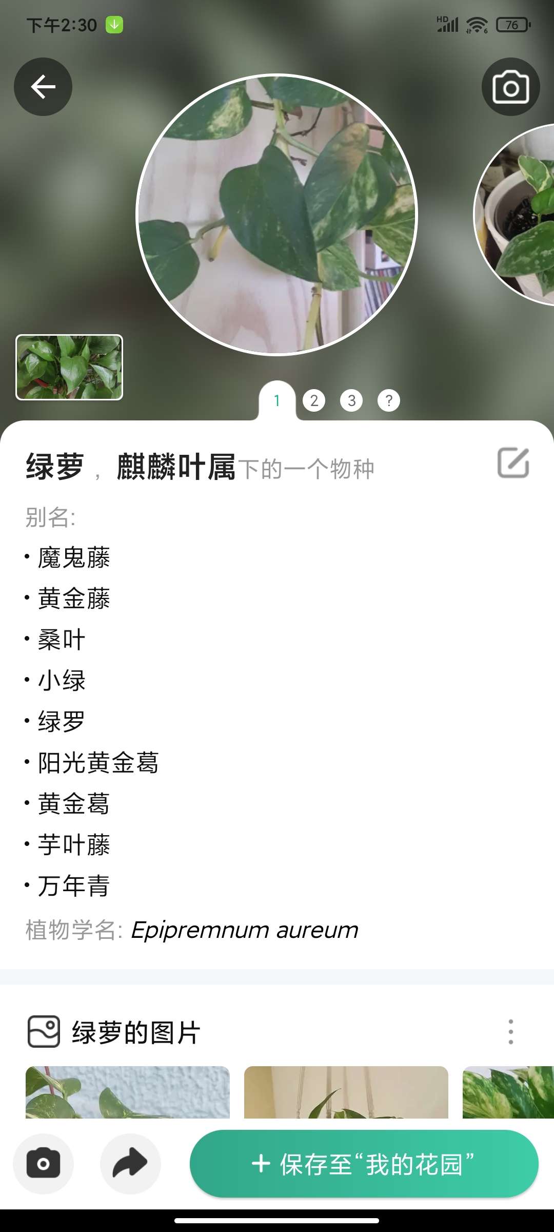 植物识别5.19.0高级版分享 养护诊断超方便 第7张插图