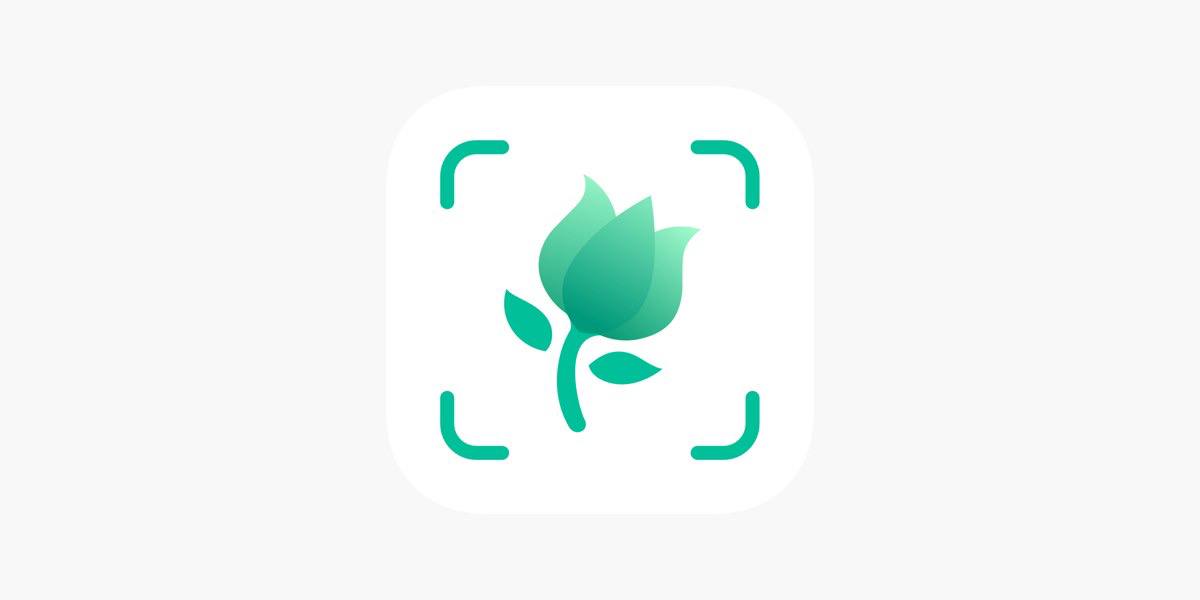 植物识别5.19.0高级版分享 养护诊断超方便 第3张插图