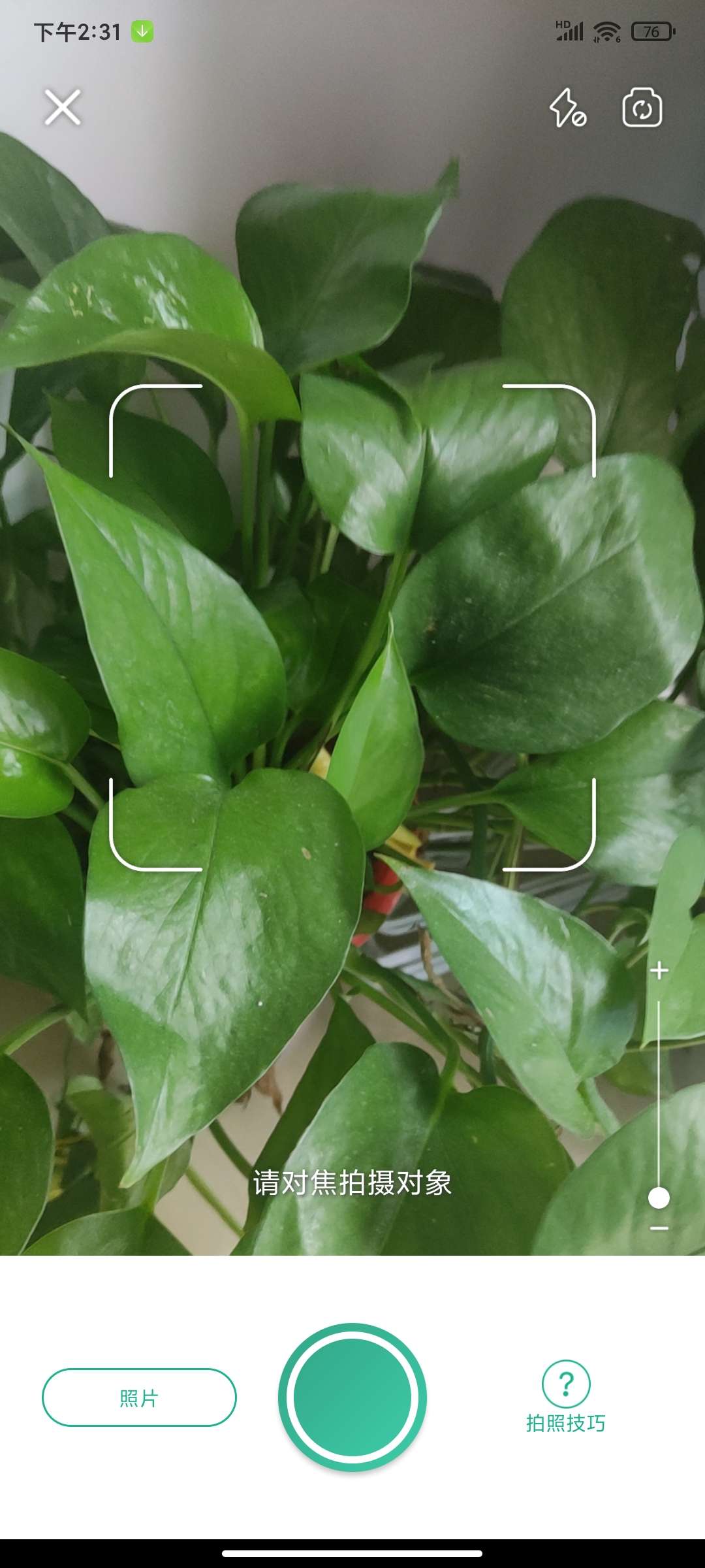 植物识别5.19.0高级版分享 养护诊断超方便 第6张插图