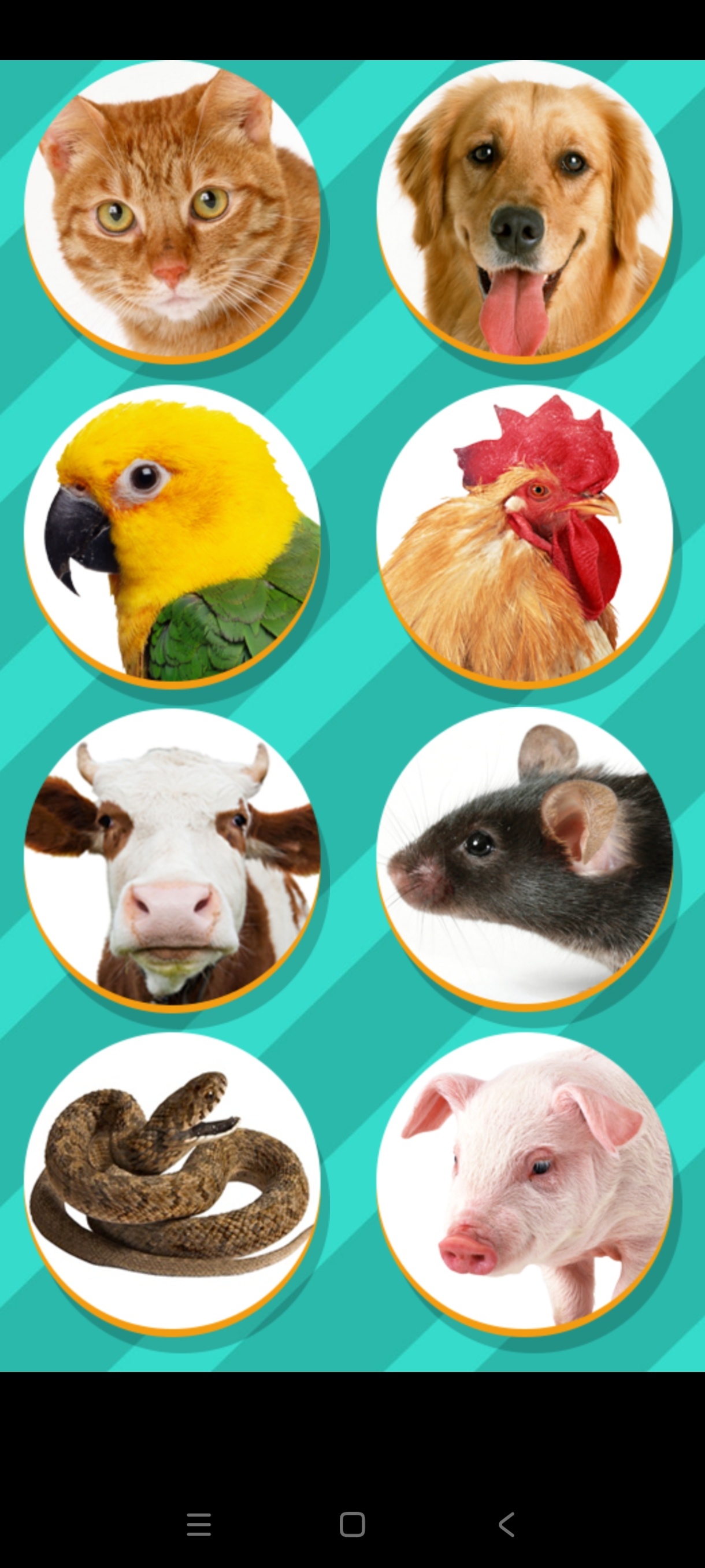 动物语言翻译器1.0娱乐恶搞天花板｜单机无广 第7张插图