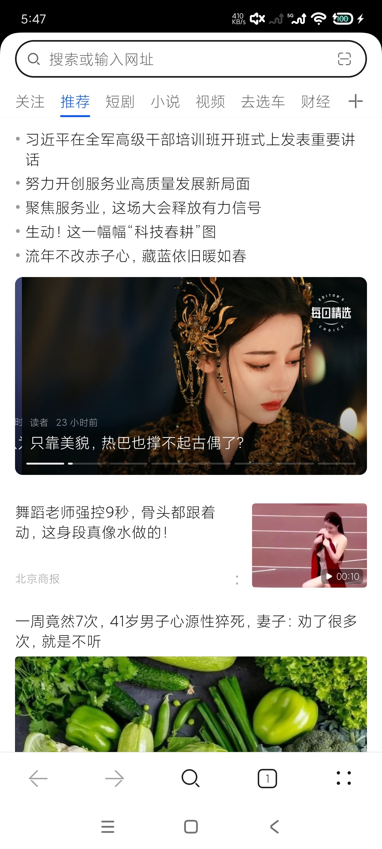 花瓣浏览器大厂出品｜兼容性强｜任意适配｜纯净无广 第6张插图