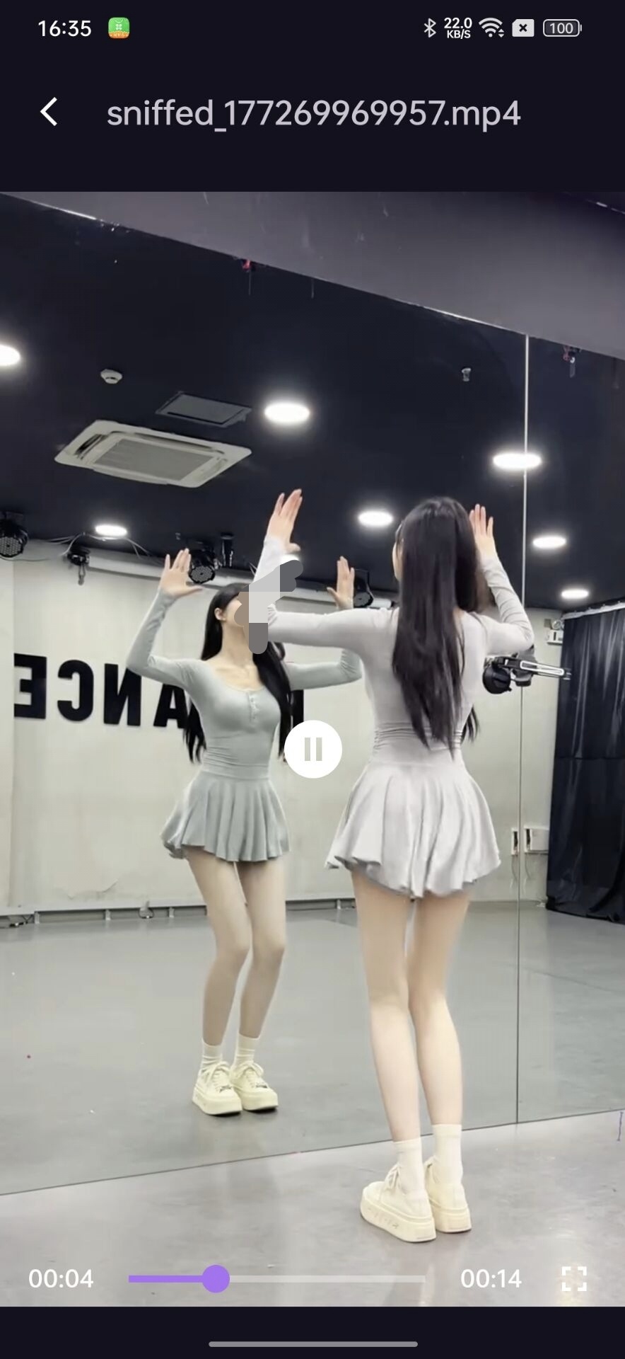 熊猫去水印下载，支持多平台一键提取