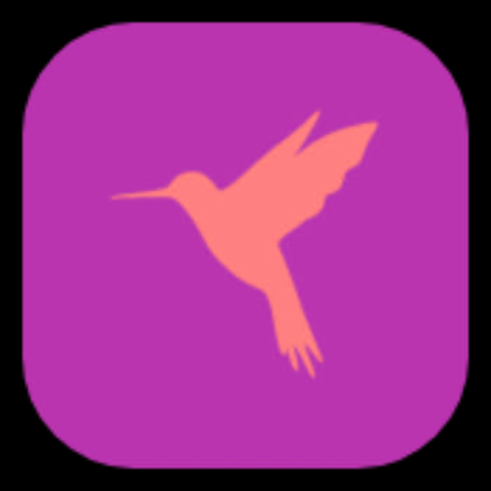 黄鸟抓包全新改版Reqable二代黄鸟抓包 第3张插图