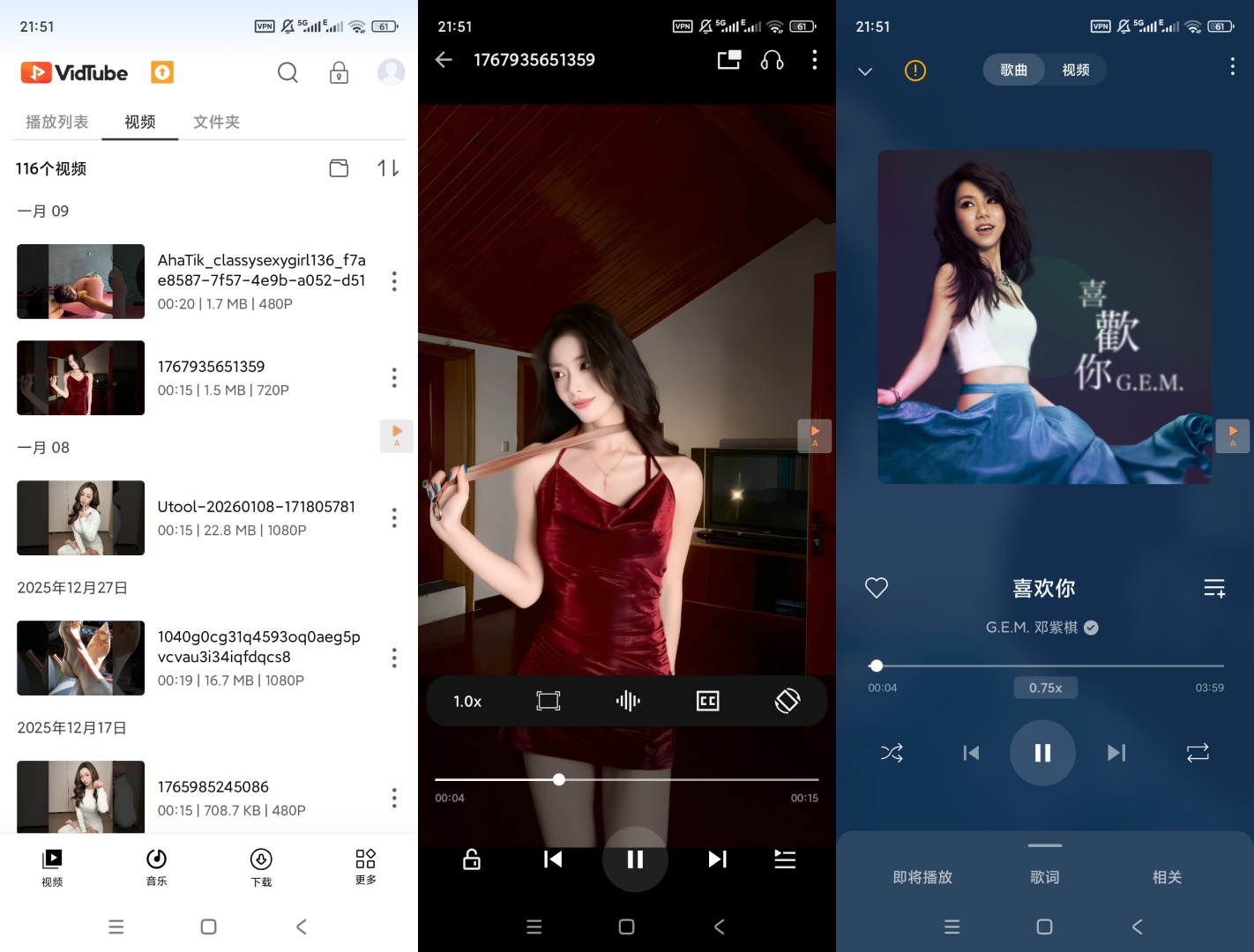 VidTube播放器v4.6.3解锁高级版分享 第8张插图