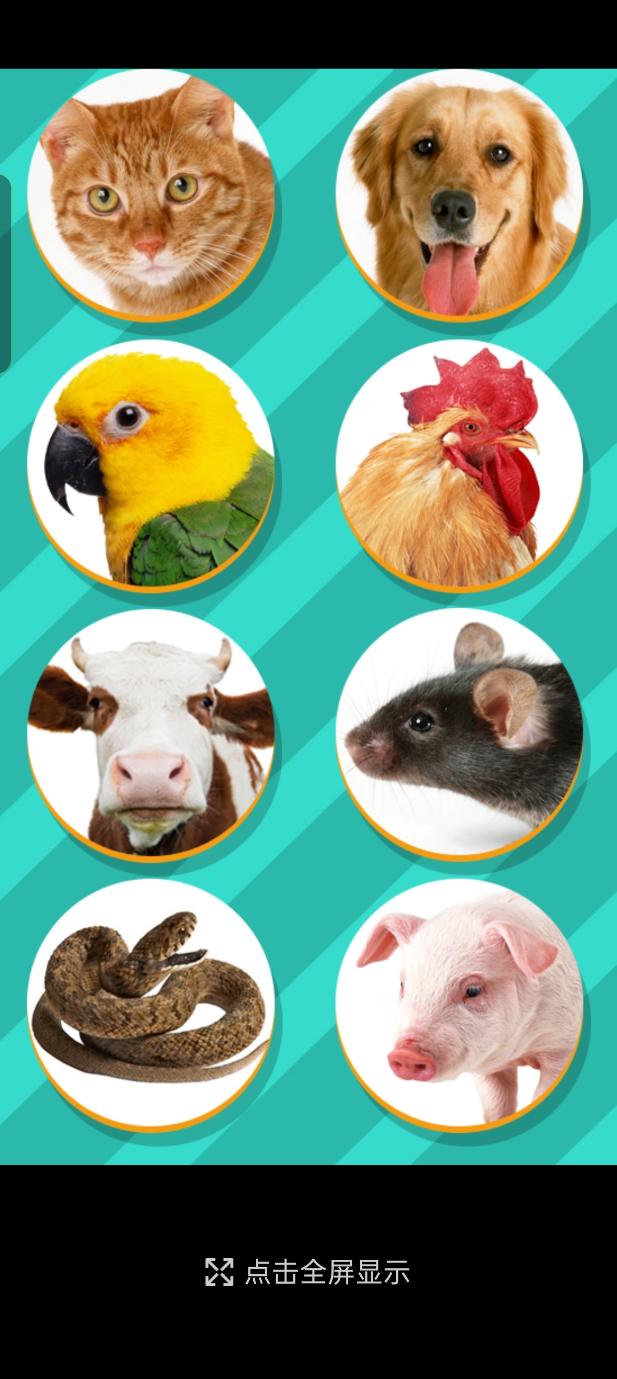 动物语言翻译器
v1.1
趣味娱乐叫声翻译第6张插图