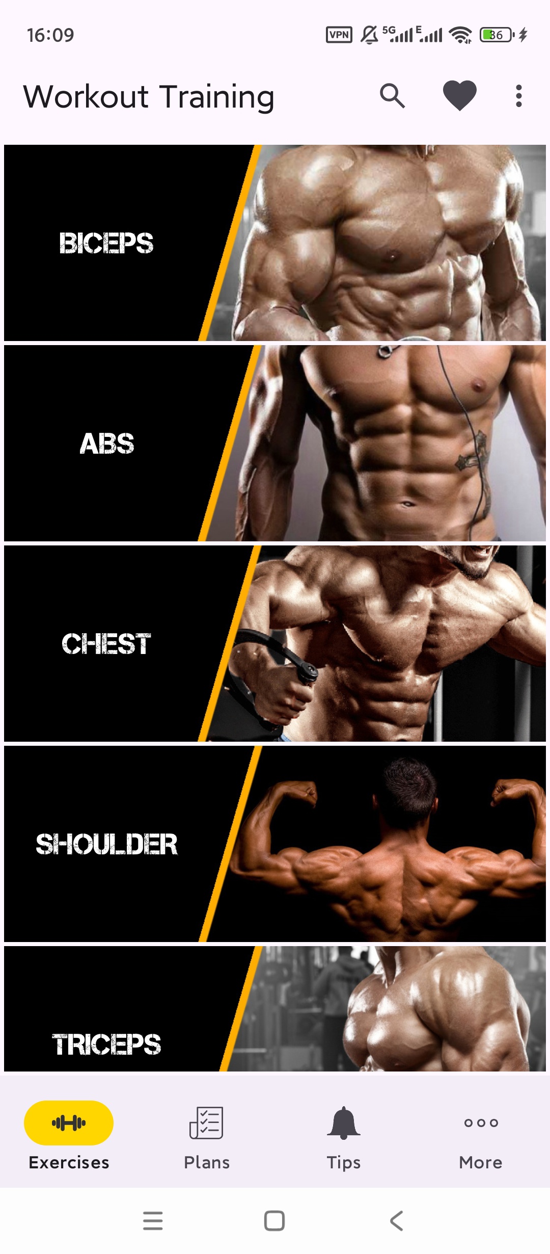 Pro Gym专业健身教程定制计划离线训练超实用 第5张插图 Pro Gym专业健身教程定制计划离线训练超实用 第5张插图